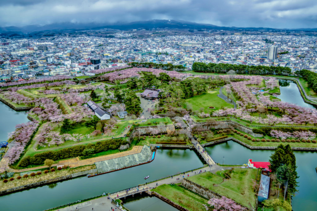 五稜郭タワーからの桜