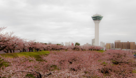 函館市五稜郭町の観光 桜の花見と市街の一望スポット