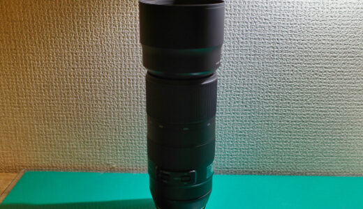 Tamron 100-400mm F/4.5-6.3 Di VC USD for Canon 初めての野鳥撮影望遠ズームレンズ