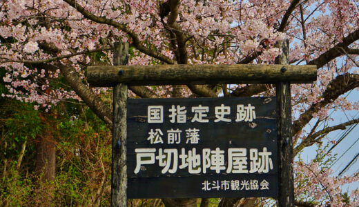 松前藩戸切地陣屋跡の800m桜街道 春に訪れるべきお花見スポット