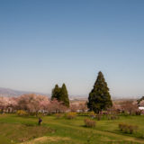 松前藩戸切地陣屋跡からの桜