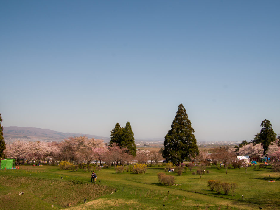 松前藩戸切地陣屋跡からの桜