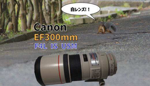 EF300 F4L IS USM 望遠単焦点レンズレビュー｜最強の手持ち撮影レンズ