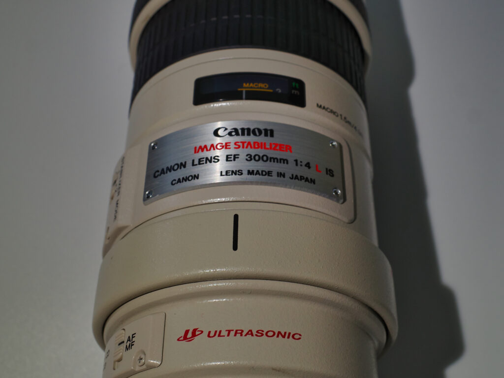 Canon EF 300mm F4L IS USM 望遠単焦点レンズレビュー | 勇ブログ
