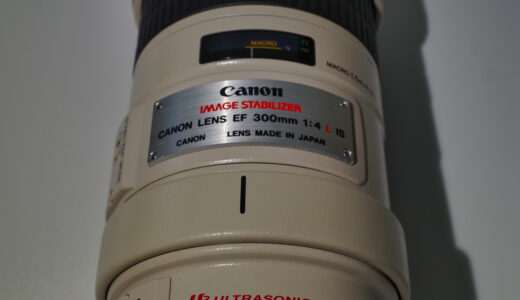 手軽な望遠単焦点レンズ「Canon EF 300mm F4L IS USM」