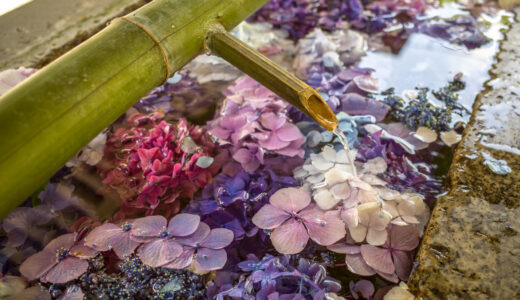 函館八幡宮・インスタ映えする花手水の撮影記