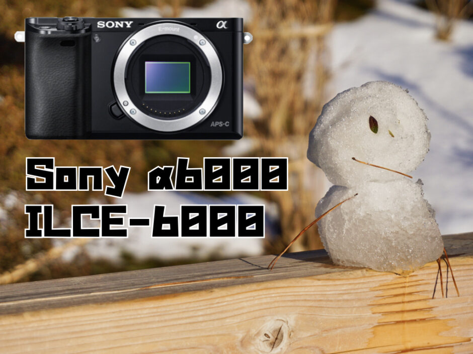 Sonyミラーレス A6000レビュー おすすめコンパクト軽量ミラーレスaps C機 勇ブログ Isamu