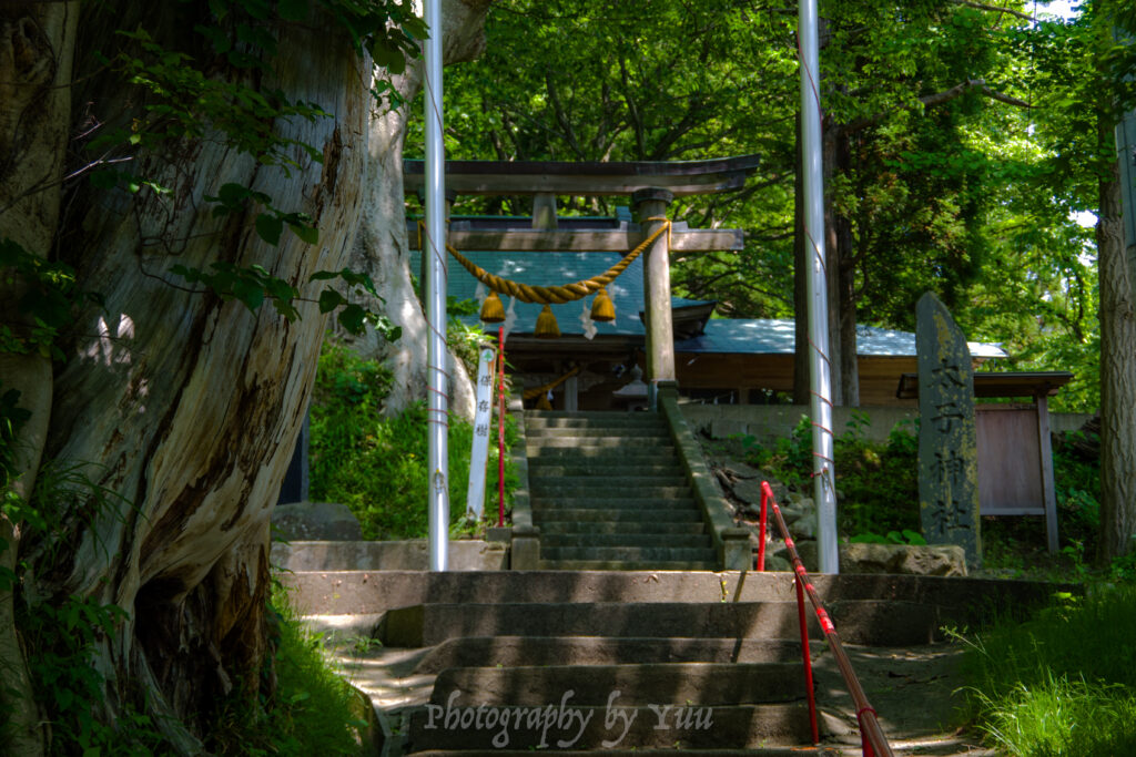 新緑と神社