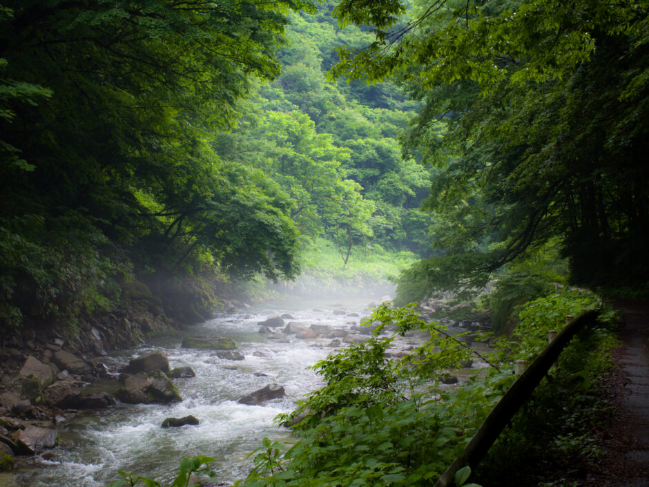 サムネ・岨谷峡