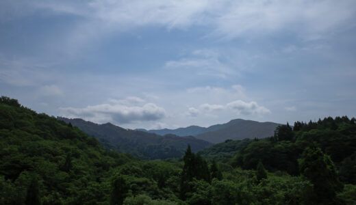 秋田の野鳥2021年6〜8月｜森林・渓流・山地