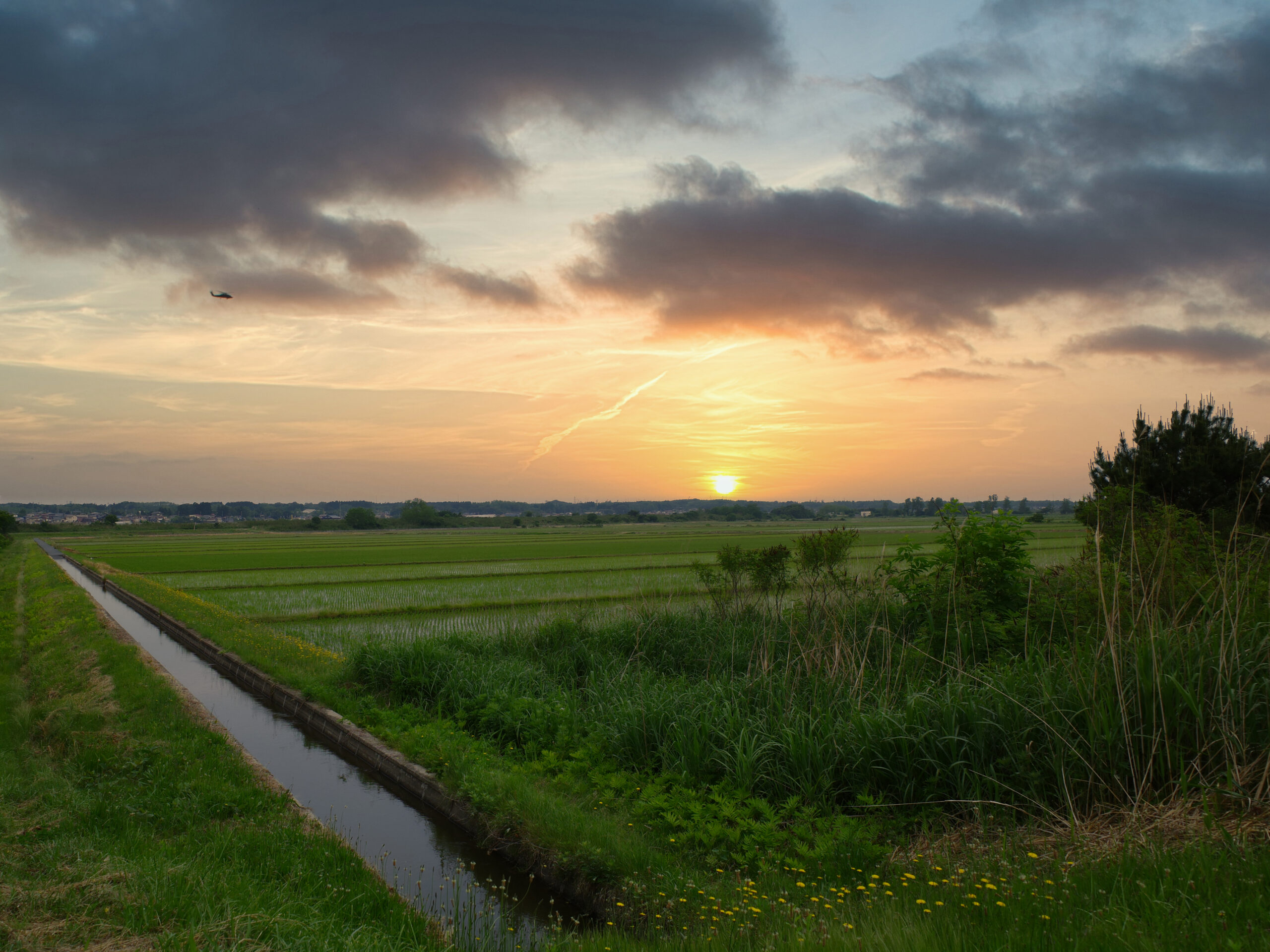 大潟村観光前に知るべきことまとめ集 日本最大の干潟 勇ブログ Isamu