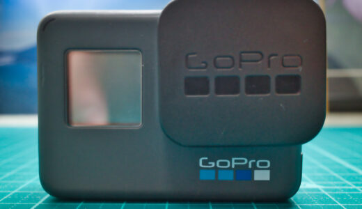 GoPro HERO6 Blackレビュー｜野鳥撮影と両立して動画撮影