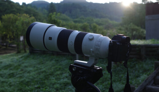FE 200-600mm F5.6-6.3 G OSS レビュー｜手持ちで野鳥撮影