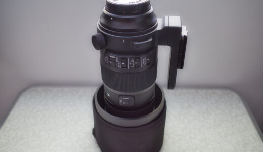 Sigma 150-600mm F5-6.3 DG OS HSM Sports テレコンキット実写レビュー