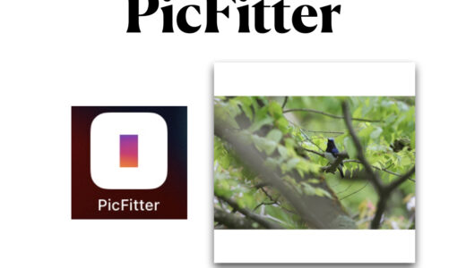Instagramの投稿写真に白フチ・黒フチをつけるアプリ「PicFitter」
