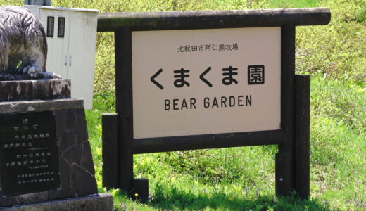 北秋田市阿仁熊牧場