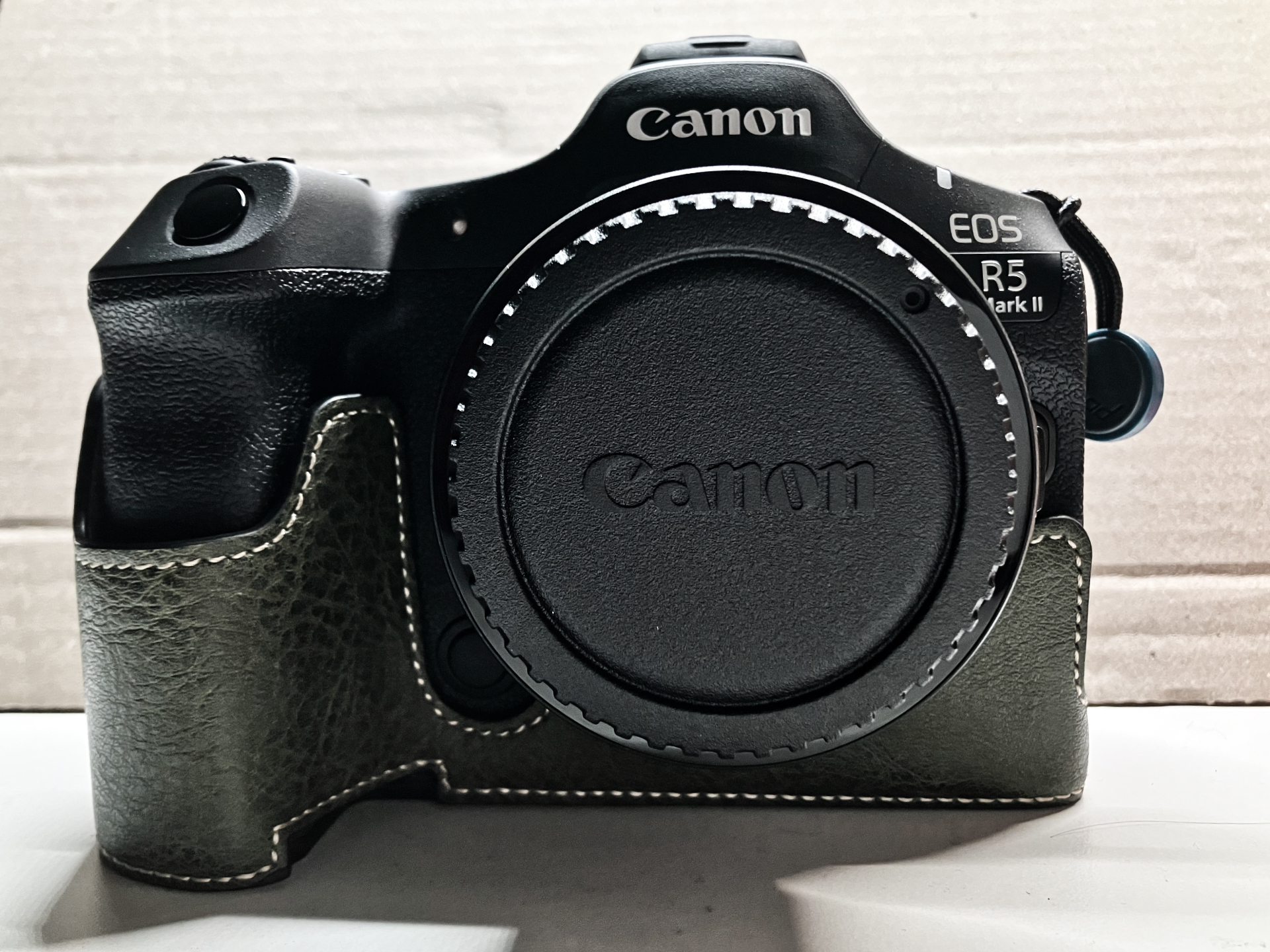 Canon EOS R5 MarkII + EF500mm F4L IS II USM | 勇ブログ -ISAMU-